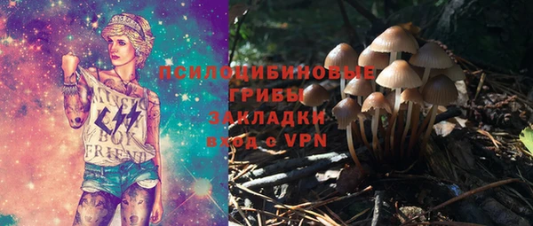 трава Бородино