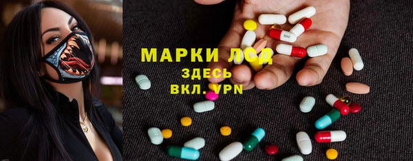 трава Бородино
