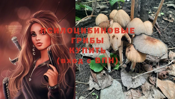 a pvp Бугульма