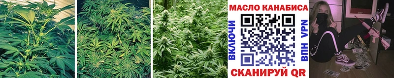 хочу наркоту  Рыбинск  ТГК гашишное масло 