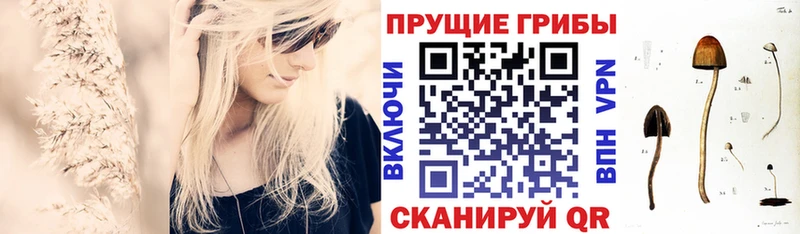 Псилоцибиновые грибы ЛСД Рыбинск
